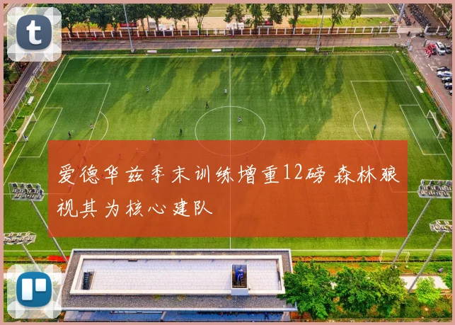 爱德华兹季末训练增重12磅 森林狼视其为核心建队